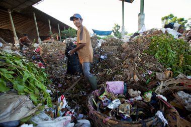 BALI, INDONESIA  APRIL 11: Poor from Java island working in a scavenging at the dump on April 11, 2012 on Bali, Indonesia. Bali daily produced 10,000 cubic meters of waste.